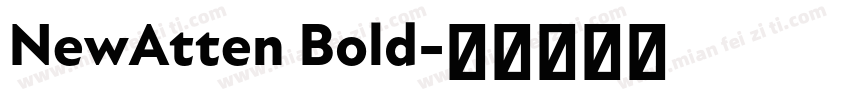 NewAtten Bold字体转换